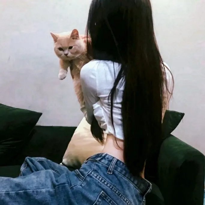 网络迷宫